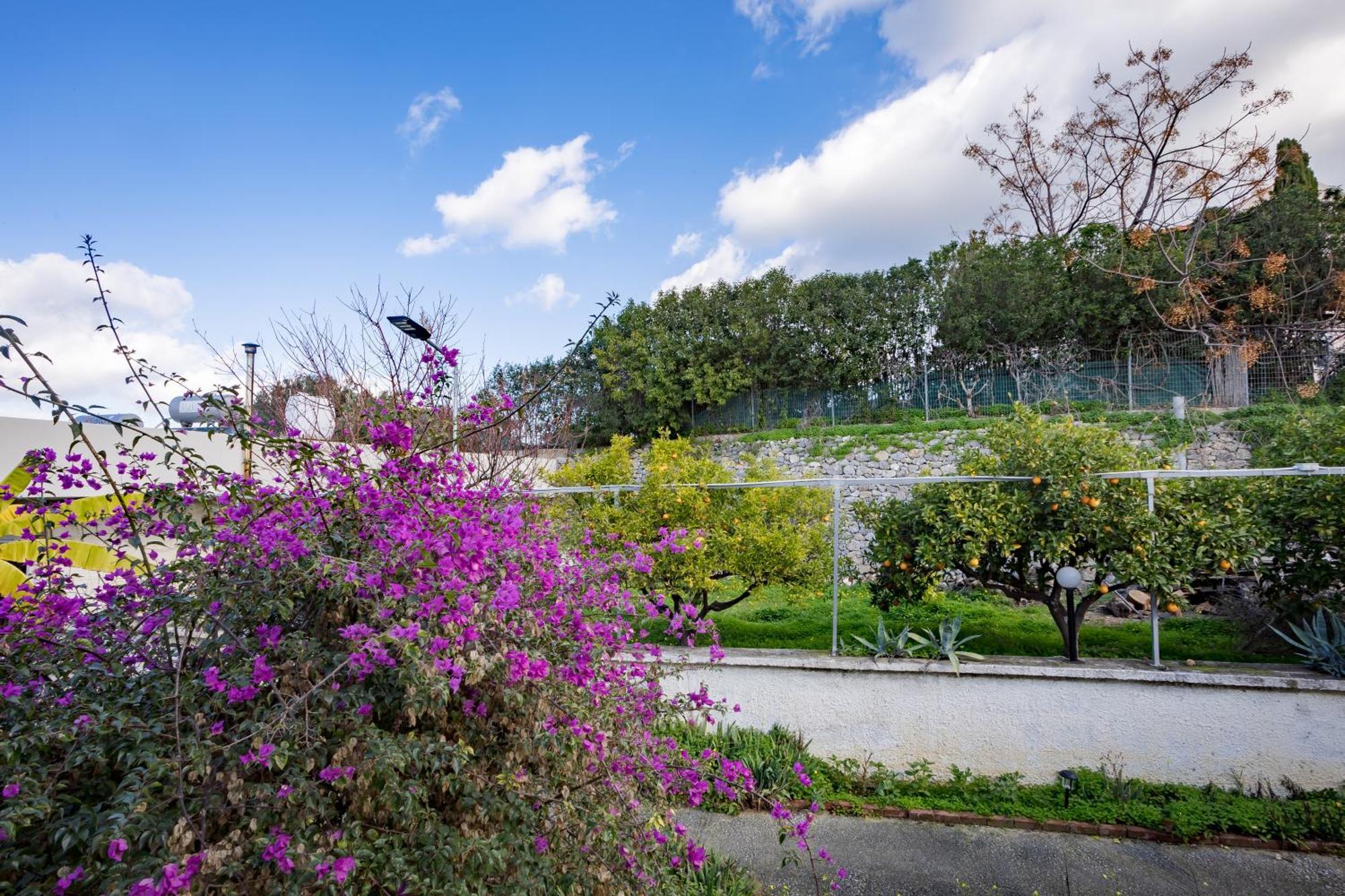 Aparthotel Rose Of Crete Platanés Zewnętrze zdjęcie