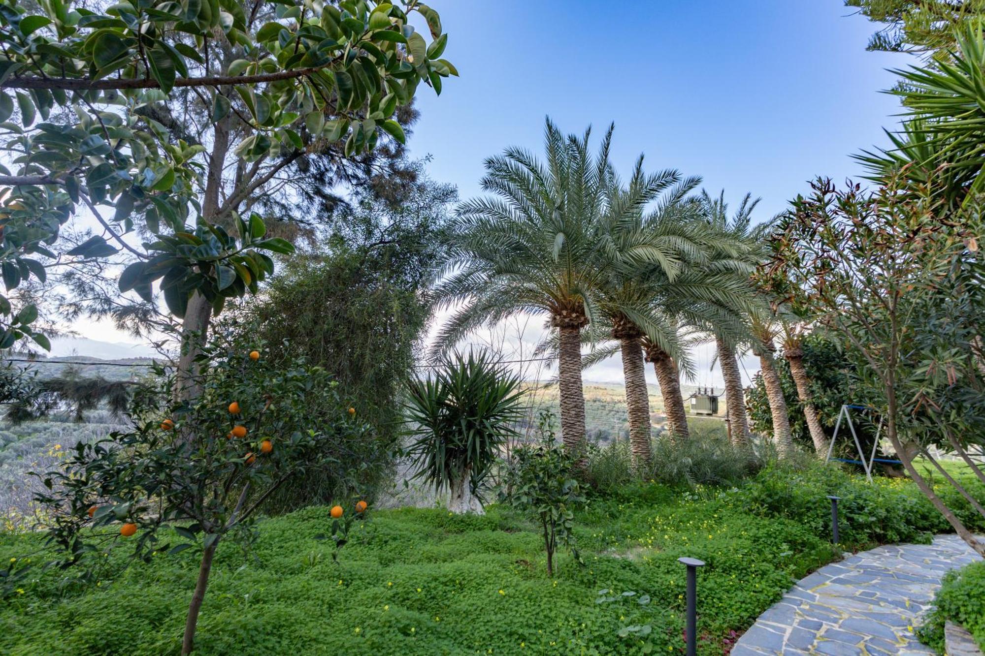 Aparthotel Rose Of Crete Platanés Zewnętrze zdjęcie